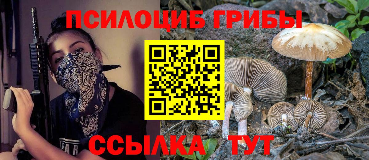 Галлюциногенные грибы GOLDEN TEACHER  Галлюциногенные грибы мухоморы  Выкса  Вход с VPN 