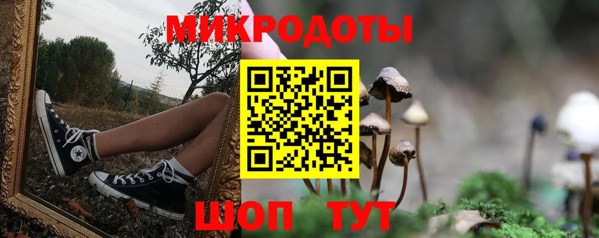 Псилоцибиновые грибы мицелий Выкса